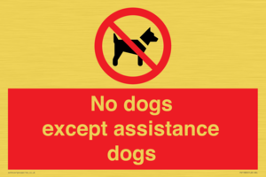 No dogs except assistance dogs